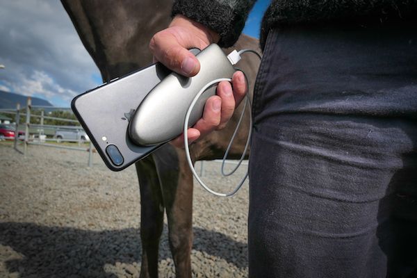 Anitar's mobile RFID scanner aims to simplify the life of vets and horse breeders
